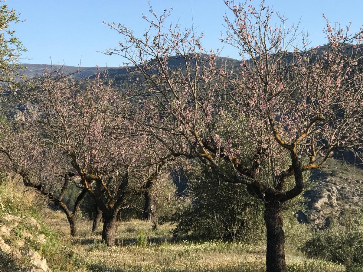 Al-Qandil ξενώνας Margarida Εξωτερικό φωτογραφία